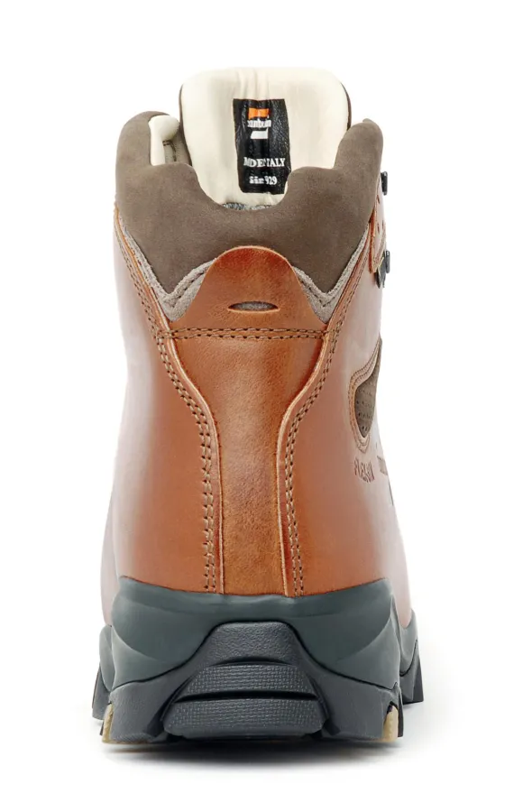 Scarpe trekking uomo in pelle: 1996 VIOZ LUX GTX RR - Brown